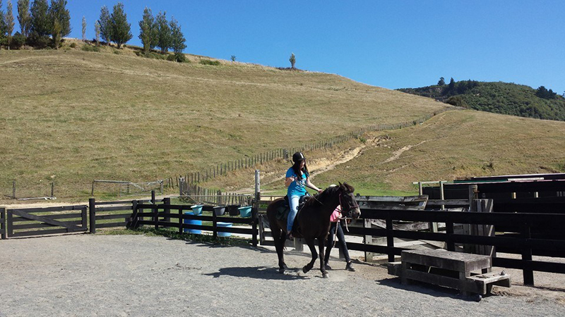 Join us for an enchanting horse trek up Mount Ngongotaha on the western shores of Lake Rotorua and experience New Zealand’s spectacular terrain.