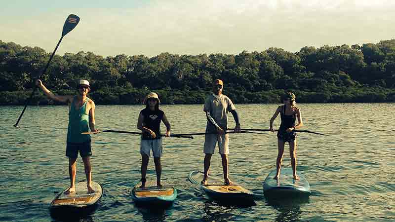 Join us for a morning SUP tour around Double Island, Palm Cove