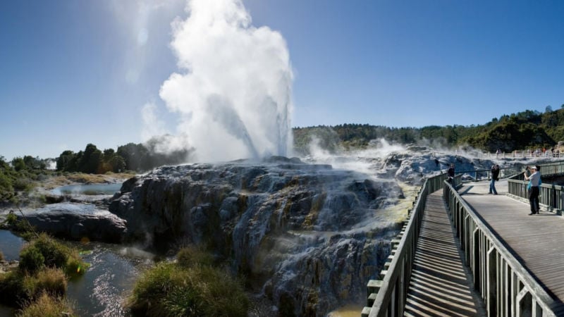 Leave the hustle and bustle of Auckland behind and venture on a magical journey through the incredible geothermal regions of Rotorua and Waitomo...