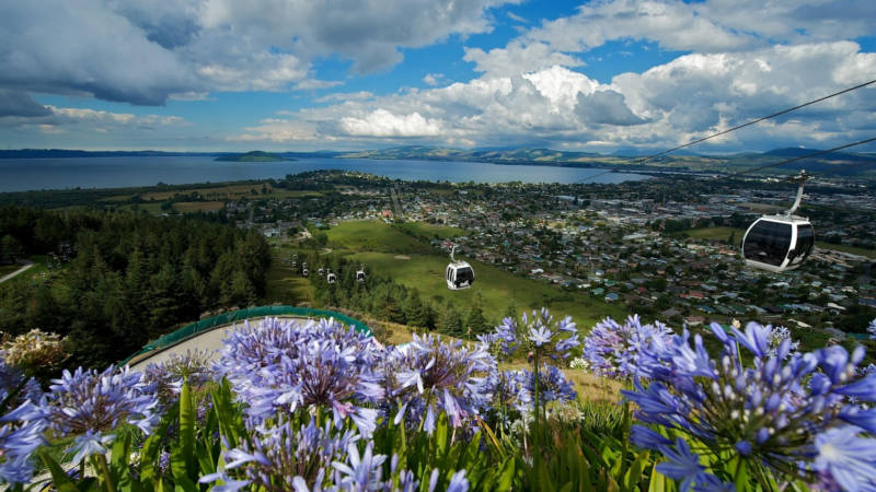 Join us for an incredible journey to discover New Zealand's stunning geothermal regions, traditional Māori culture and the world famous Waitomo Caves...