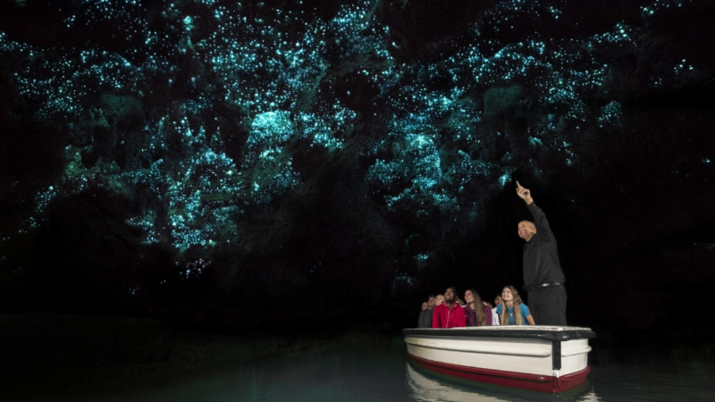 Join us for an incredible journey to discover New Zealand's stunning geothermal regions, traditional Māori culture and the world famous Waitomo Caves...