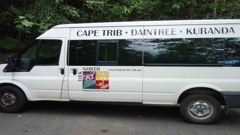 Visit the World Heritage Daintree Rainforest and Cape Tribulation in comfort with this low number quality tour