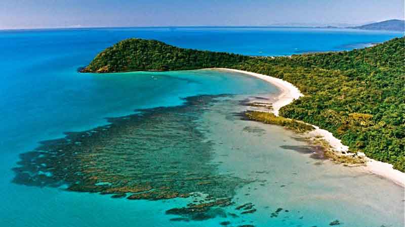 Visit the World Heritage Daintree Rainforest and Cape Tribulation in comfort with this low number quality tour