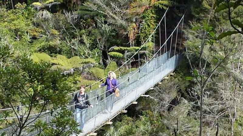 Walk the most varied section of the Abel Tasman Coastal Track. A stunning introduction to one of New Zealand's premier coastal nature environments.