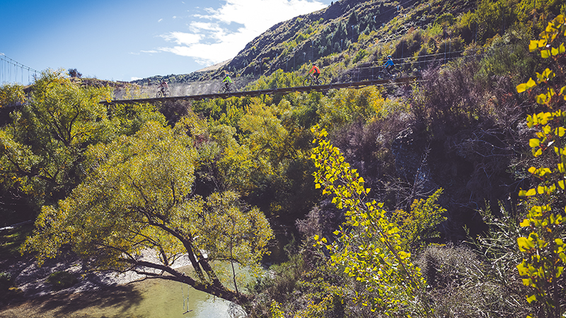 Don’t just hire a bike - get the full experience of the majestic Queenstown Trails on our half day supported tour!