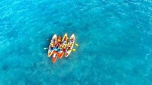 Kayak Turtle Tour around Double Island - Palm Cove