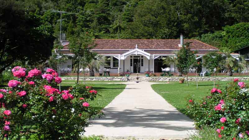 Picton Scenic Boat Cruise and partial Queen Charlotte Track Walk. Stunning half day walk and scenic cruises.