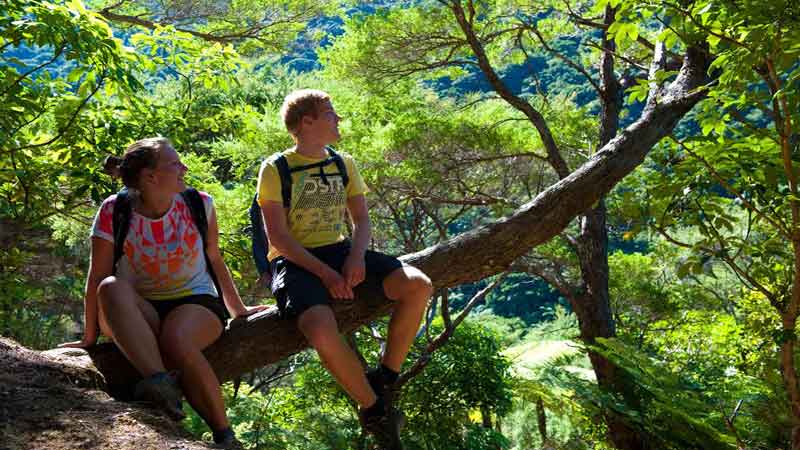 Picton Scenic Boat Cruise and partial Queen Charlotte Track Walk. Stunning half day walk and scenic cruises.