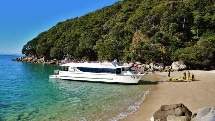 Wilsons Abel Tasman - The Great Day Out - Cruise & Walk incl. Tonga Island Marine Reserve