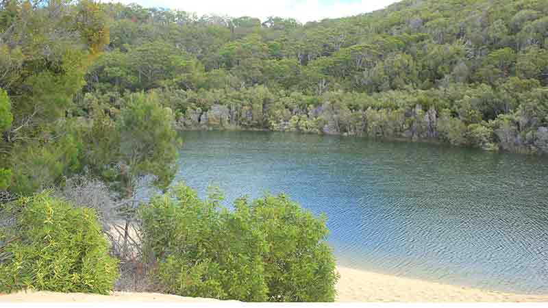 How To Pay For Hte Barge To Fraser Island How To Pay For Hte Barge To Fraser Island