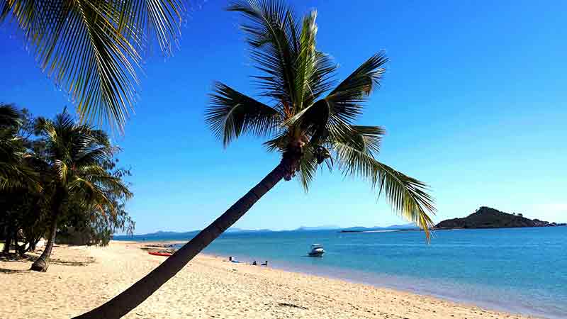 Enjoy a taste of paradise as you take a day tour from Arlie Beach to experience Cape Gloucester and Eco Resort!