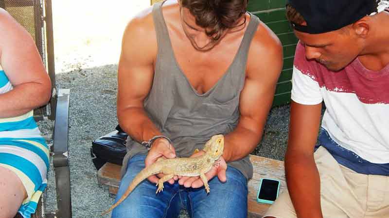 Get a unique hands on experience at Rob Bredl’s 175 acre bushland wild farm! This day tour from Airlie Beach will give you a true experience with the iconic bushman
