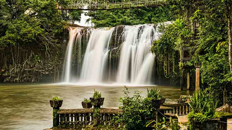 Visit the highlights of Cairns including Paronella Park, Josephine Falls, Mamu Canopy Walk and more!