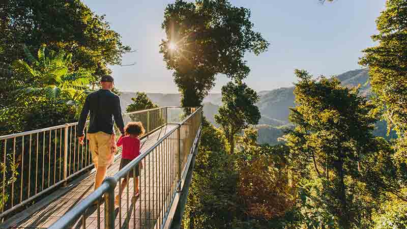 Visit the highlights of Cairns including Paronella Park, Josephine Falls, Mamu Canopy Walk and more!