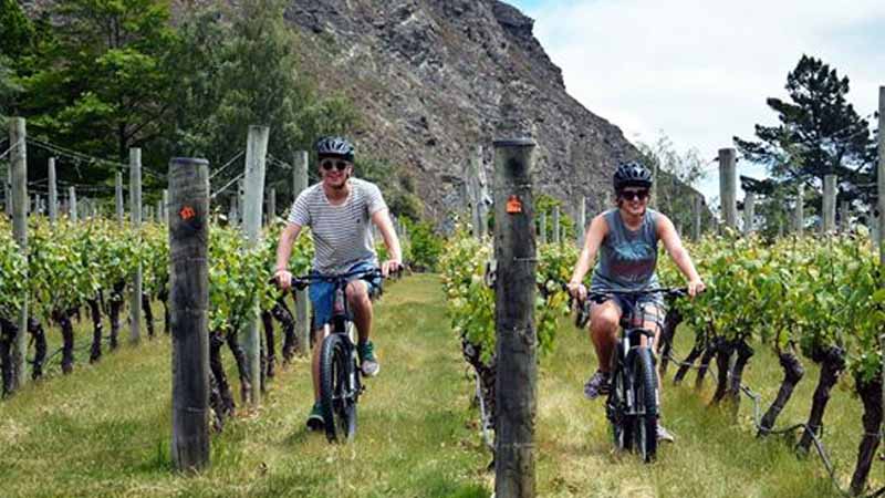 Enjoy an extra special bike ride through the beautiful Gibbston Valley and be treated to a winery cave tour, wine tasting and a delicious Harvest Platter.