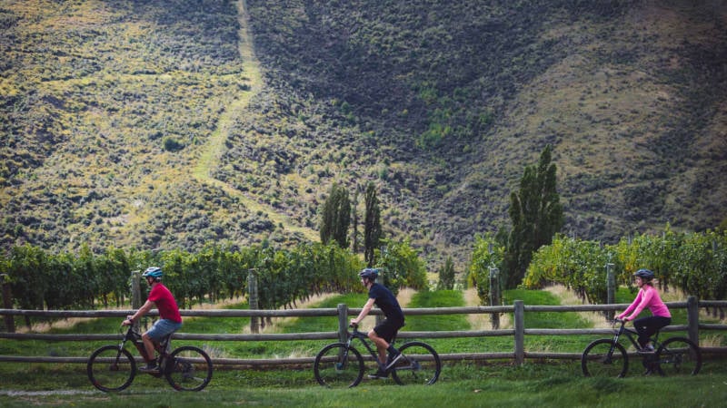 Enjoy an active winery tour on our full day self guided Bike The Wineries Tour as you explore the wine region of Gibbston at your leisure!
