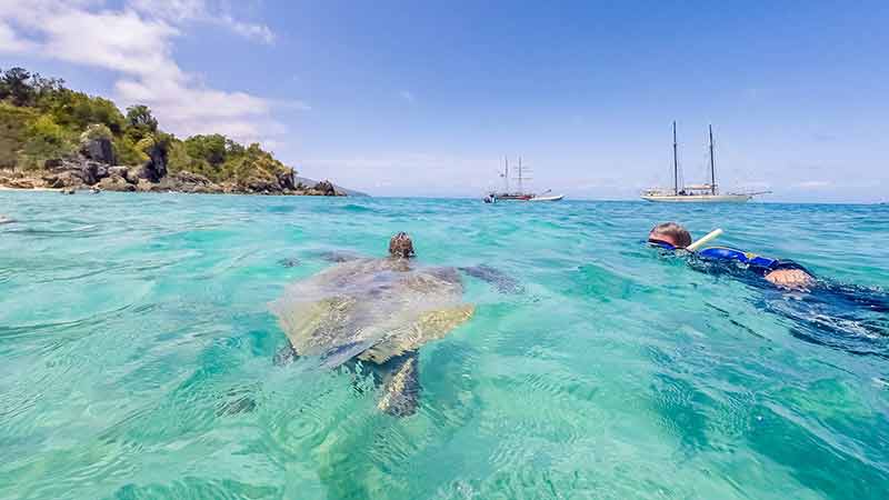 Take a day sailing trip through the Whitsundays with Tallship Adventures. Departing Airlie Beach, you will discover uninhabited islands, snorkel with wildlife and more!