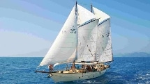 Whitsundays Sailing Day Trip - Derwent Hunter