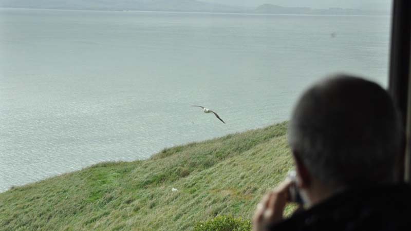 Learn about the Northern Royal Albatross and the unique cultural history of the people of Taiaroa Head during this 90 minute guided tour.