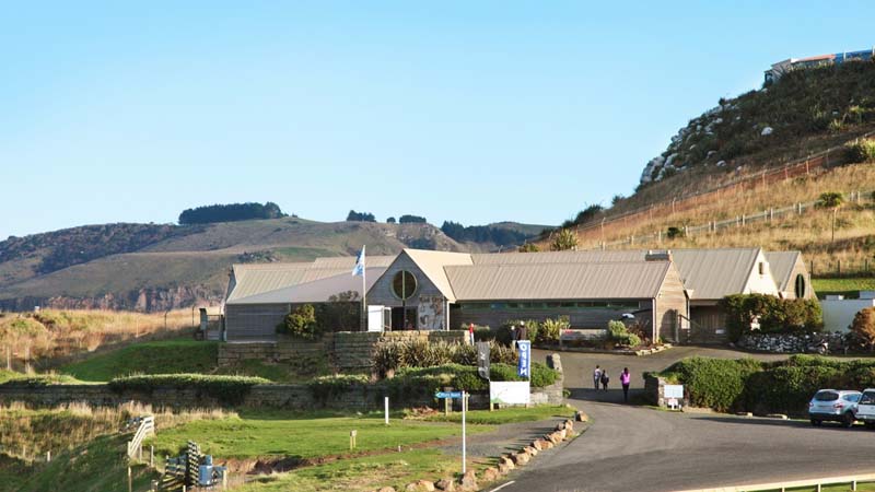 Learn about the Northern Royal Albatross and the unique cultural history of the people of Taiaroa Head during this 90 minute guided tour.