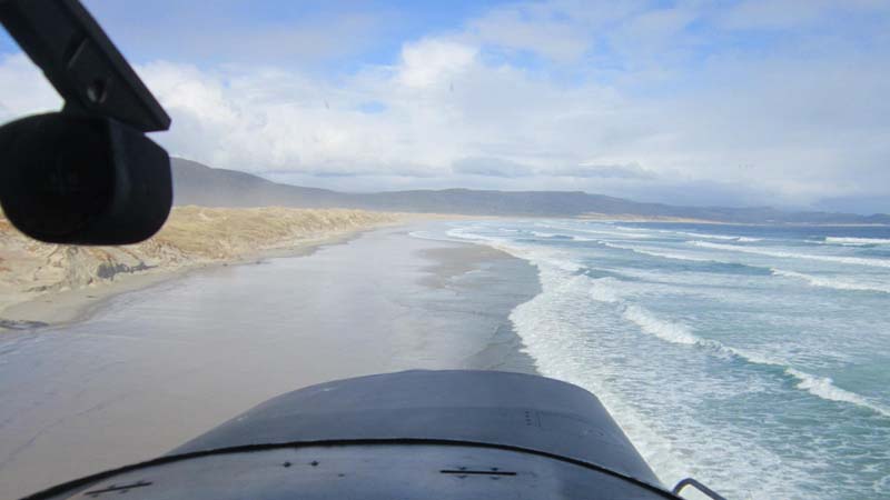 Soar high above Dunedin and try your hand at piloting a plane with this incredible Trial Flight experience! 