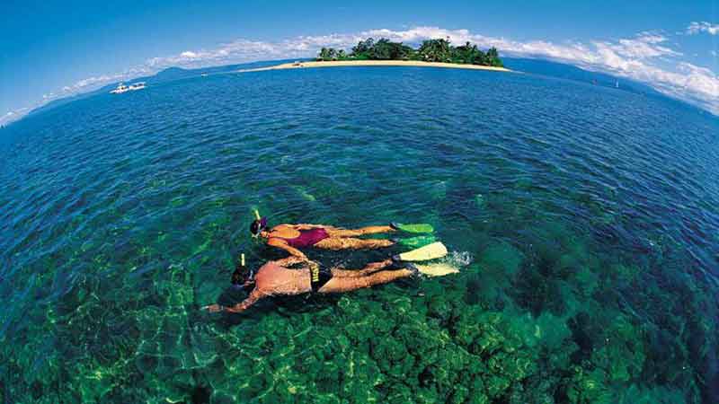 Take a small group private day tour to Low Isles, Port Douglas, and escape the crowds for a real Great Barrier Reef adventure!