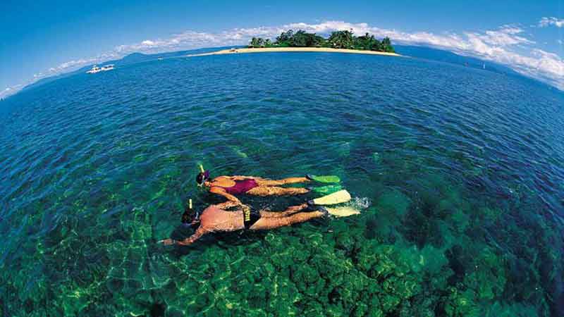 port douglas reef tours small group