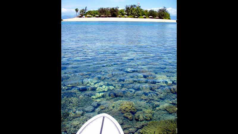 Take a small group private day tour to Low Isles, Port Douglas, and escape the crowds for a real Great Barrier Reef adventure!