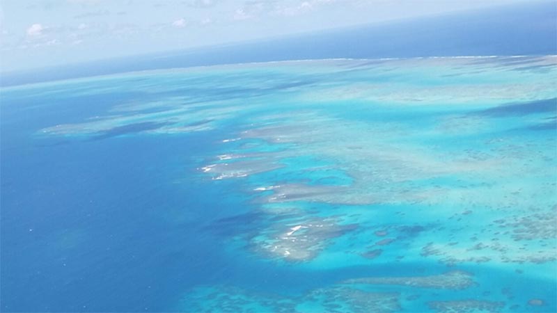 Take a 30 minute fixed wing scenic flight over the rainforest and Great Barrier Reef from Cairns