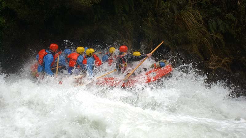 Join Wet n Wild Rafting for an incredible 2 hour white water expedition over 14kms of invigorating grade 3-4 rapids on the lower Rangitaiki River.