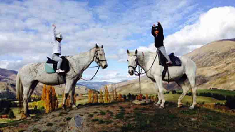 Saddle up for a magical guided horse trek through the stunning landscape at Moonlight Stables situated in the heart of the Wakatipu Basin.