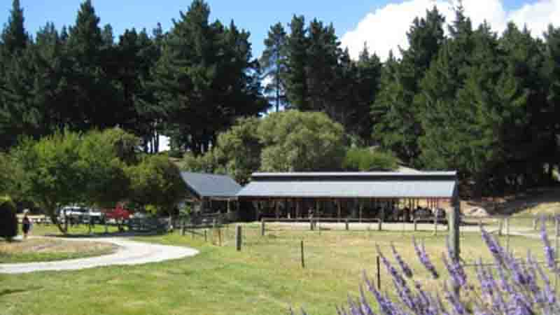 Saddle up for a magical guided horse trek through the stunning landscape at Moonlight Stables situated in the heart of the Wakatipu Basin.