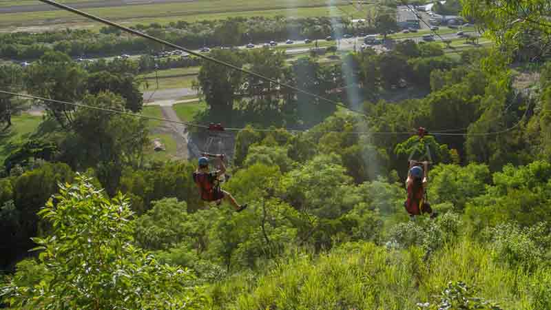 Experience the raw power of gravity and high velocity thrill of zip lining 300 metres (985 ft) over the rainforest in Cairns!