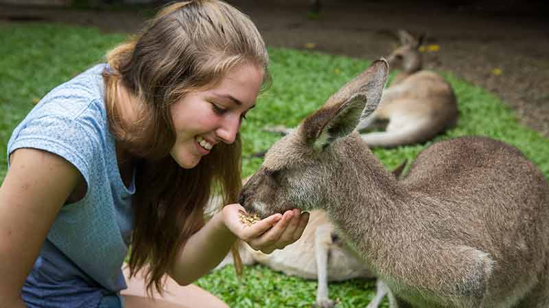 Visit the beautiful Kuranda Village with this return Coach day trip from Cairns