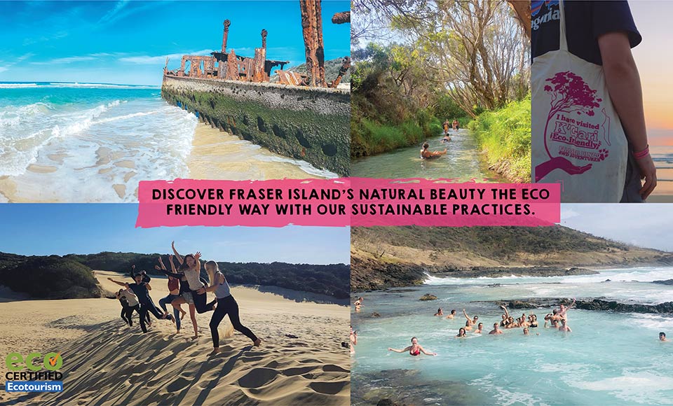 Join a group of young like-minded travellers on a Fraser Dingo Deluxe Tagalong Tour and be part of a unique and unforgettable 4WD adventure on Fraser Island! We stay in a private beach house on the island so no camping! 