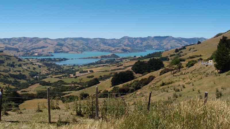 Bookme Special - Akaroa to Christchurch Bus Ticket
