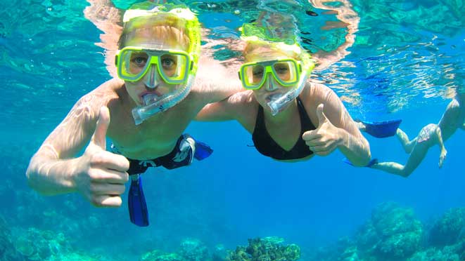 Experience Wave Break Island's variety of marine life on a 4 hour guided snorkel tour with Gold Coast Dive Centre!