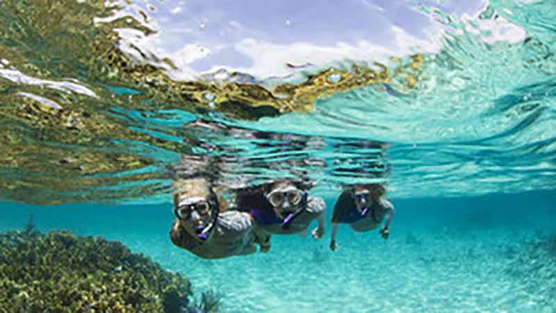 Experience Wave Break Island's variety of marine life on a 4 hour guided snorkel tour with Gold Coast Dive Centre!