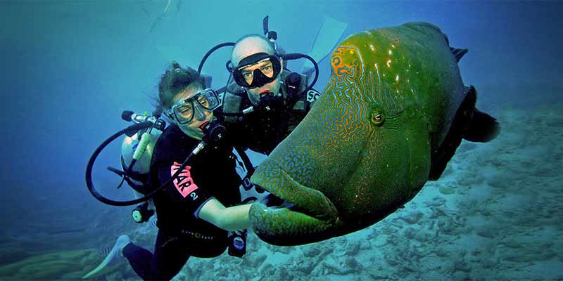 Experience Scuba Diving on Gold Coasts' Wave Break Island with Gold Coast Dive Centre!