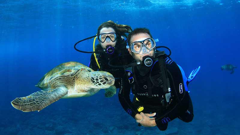 Experience Scuba Diving on Gold Coasts' Wave Break Island with Gold Coast Dive Centre!