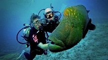 Discover Scuba Diving with Boat Tour - Wave Break Island (Excludes $5 Registration Fee)