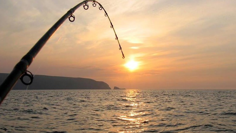 Tackle the big fish of the Gold Coast Ocean!
