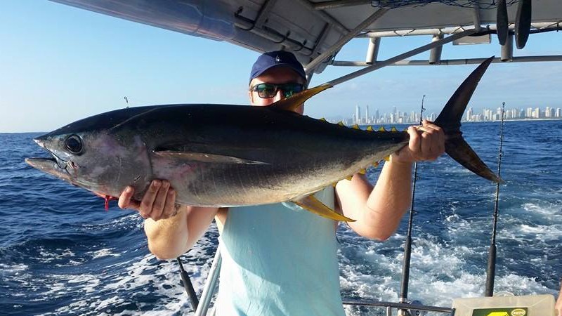 Tackle the big fish of the Gold Coast Ocean!