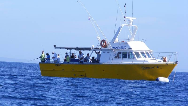 Tackle the big fish of the Gold Coast Ocean!