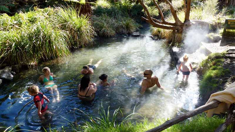 Join Lake Tarawera Ecotours for a fascinating tour by water taxi to Hot Water Beach & experience an extraordinary natural bush hot pool!