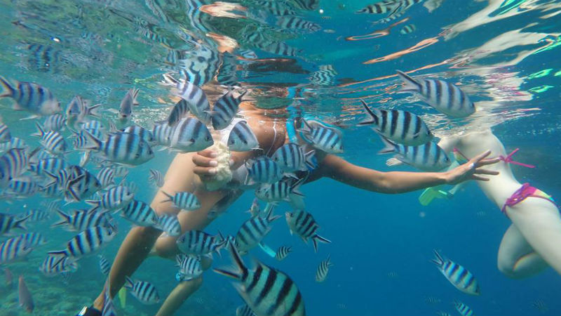 Great snorkelling 