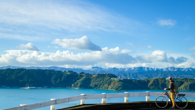 Discover New Zealand's spectacular capital city and hire a mountain bike for an awesome one or two day adventure!