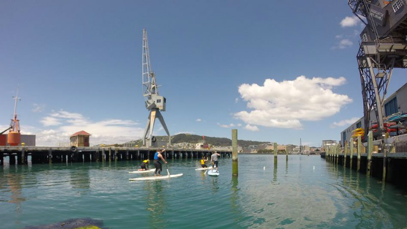 Paddle the glistening Wellington coastline!