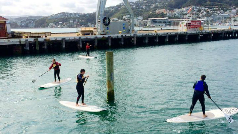 Paddle the glistening Wellington coastline!