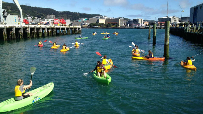 KAYAK HIRE - 1 HOUR wellington harbour